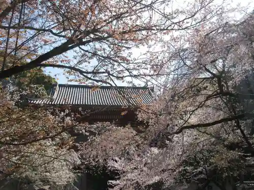 醍醐寺の景色