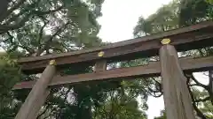 明治神宮の鳥居