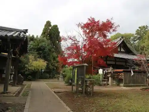 新熊野神社(京都府)