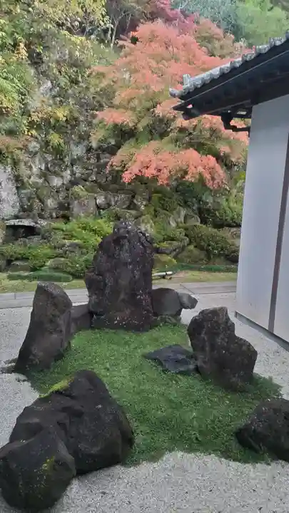 圓融寺(埼玉県)