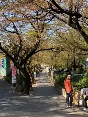 密藏院(埼玉県)