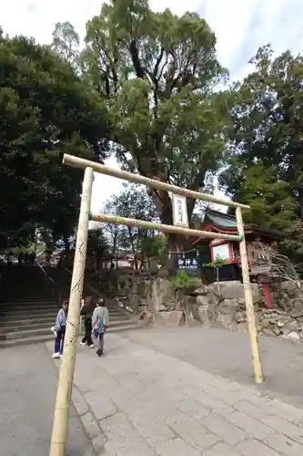 鹿児島神宮(鹿児島県)