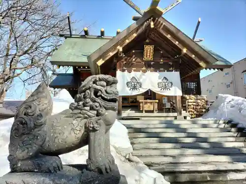 札幌諏訪神社の狛犬