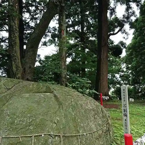 盛岡天満宮の建物その他