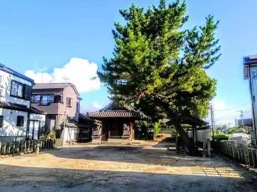 天白社のその他建物