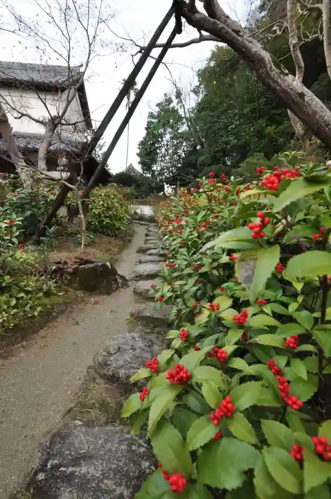 當麻寺(奈良県)