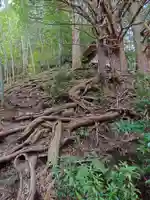 須佐之男神社(愛知県)