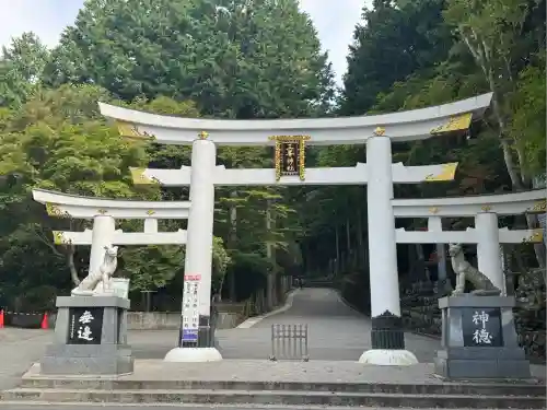 三峯神社(埼玉県)