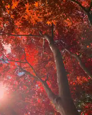 滑川神社 - 仕事と子どもの守り神(福島県)