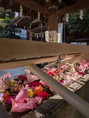鳩森八幡神社(東京都)