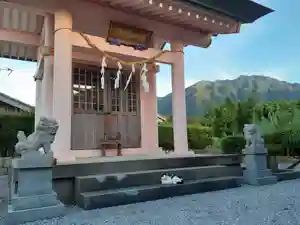 屋久島大社の動物(2023年06月29日(木) 11時24分23秒投稿)