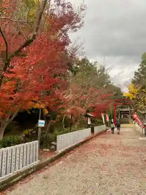 日根神社(大阪府)