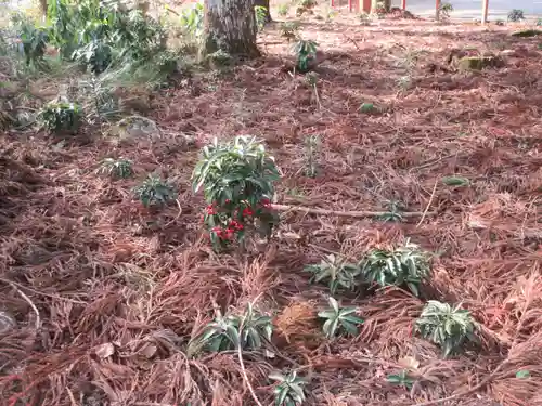 日吉大社(滋賀県)