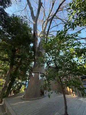 鎮守氷川神社の{uncategorized: "未分類", other: "その他", undefined: "問題あり", building: "その他建物", grave: "お墓", sacred_gate: "鳥居", guardian: "狛犬", statue: "像", buddha: "仏像", history: "歴史", nature: "自然", garden: "庭園", animal: "動物", pagoda: "塔", temizu: "手水舎", mountain_gate: "山門・神門", sanctuary: "本殿・本堂", subordinate: "末社・摂社", art: "芸術", scenery: "景色", jizo: "地蔵", ema: "絵馬", goshuin: "御朱印", omikuji: "おみくじ", items: "授与品その他", amulet: "お守り", goshuincho: "御朱印帳", eats: "食事", festival: "お祭り", votive_dance: "神楽", shichigosan: "七五三参", wedding: "結婚式", experience: "体験その他", initially: "初詣", around: "周辺", anti_infection: "感染症対策"}