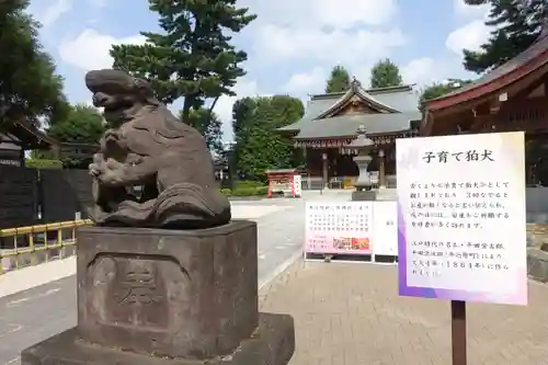 中野沼袋氷川神社の狛犬