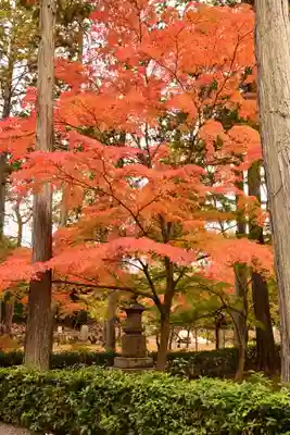 真正極楽寺(真如堂)(京都府)