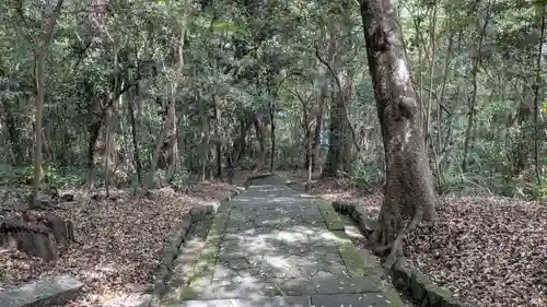 宇佐神宮の自然