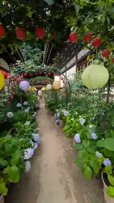 おふさ観音（観音寺）(奈良県)