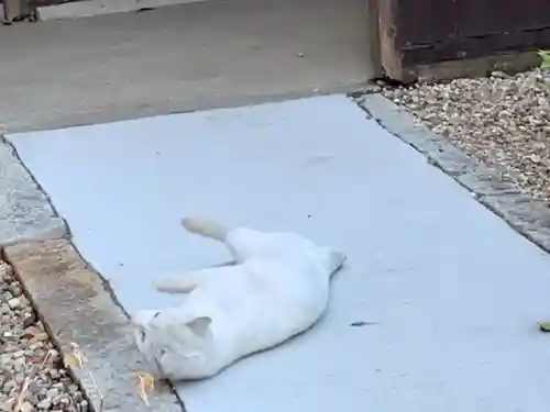 三輪神社の動物