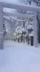 新琴似神社の鳥居