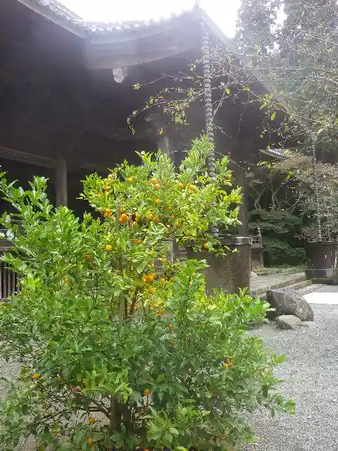 妙本寺のその他建物