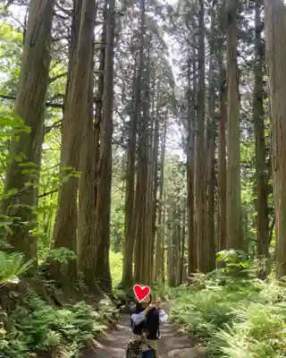 戸隠神社奥社(長野県)
