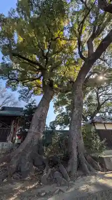 常磐神社(京都府)