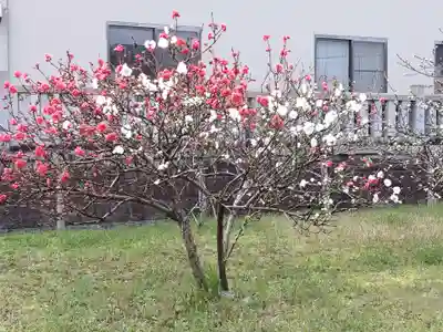 住吉神社(岐阜県)
