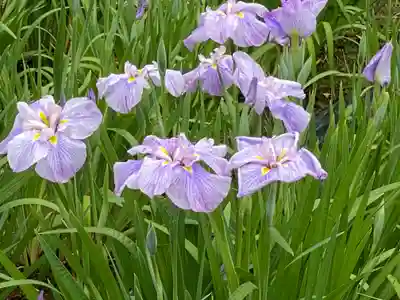堀切天祖神社祖霊社(東京都)