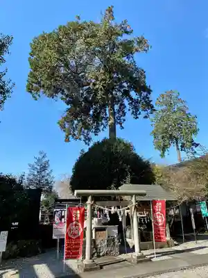 磐裂根裂神社(栃木県)