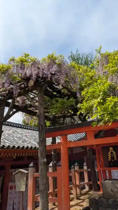 春日大社(奈良県)