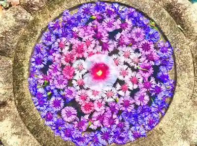 埼玉厄除け開運大師・龍泉寺（切り絵御朱印発祥の寺）の手水舎