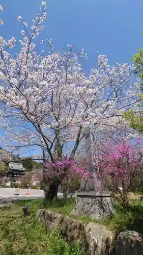 善住禅寺(愛知県)