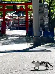 深志神社(長野県)