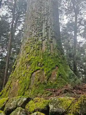 日光二荒山神社(栃木県)