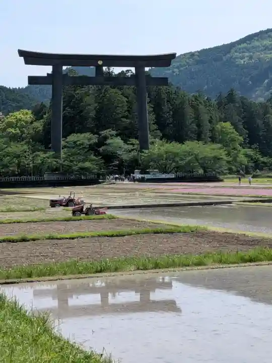 大斎原(熊野本宮大社旧社地)の{uncategorized: "未分類", other: "その他", undefined: "問題あり", building: "その他建物", grave: "お墓", sacred_gate: "鳥居", guardian: "狛犬", statue: "像", buddha: "仏像", history: "歴史", nature: "自然", garden: "庭園", animal: "動物", pagoda: "塔", temizu: "手水舎", mountain_gate: "山門・神門", sanctuary: "本殿・本堂", subordinate: "末社・摂社", art: "芸術", scenery: "景色", jizo: "地蔵", ema: "絵馬", goshuin: "御朱印", omikuji: "おみくじ", items: "授与品その他", amulet: "お守り", goshuincho: "御朱印帳", eats: "食事", festival: "お祭り", votive_dance: "神楽", shichigosan: "七五三参", wedding: "結婚式", experience: "体験その他", initially: "初詣", around: "周辺", anti_infection: "感染症対策"}
