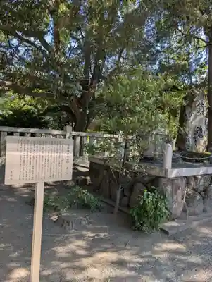 兵庫縣姫路護國神社(兵庫県)
