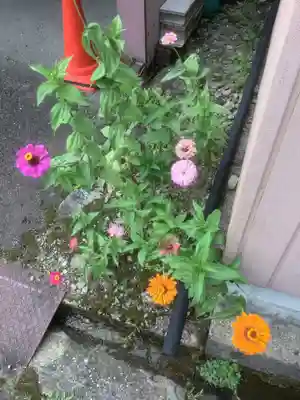 浄土真宗本願寺派　明願寺の自然