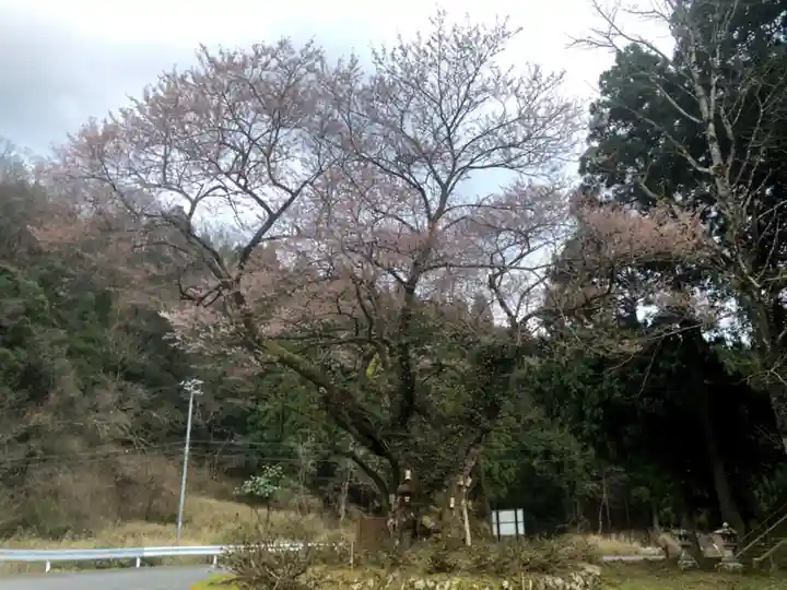 㯮椒神社の自然