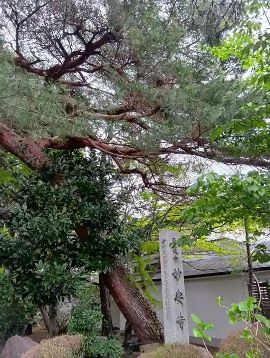 妙安寺の{uncategorized: "未分類", other: "その他", undefined: "問題あり", building: "その他建物", grave: "お墓", sacred_gate: "鳥居", guardian: "狛犬", statue: "像", buddha: "仏像", history: "歴史", nature: "自然", garden: "庭園", animal: "動物", pagoda: "塔", temizu: "手水舎", mountain_gate: "山門・神門", sanctuary: "本殿・本堂", subordinate: "末社・摂社", art: "芸術", scenery: "景色", jizo: "地蔵", ema: "絵馬", goshuin: "御朱印", omikuji: "おみくじ", items: "授与品その他", amulet: "お守り", goshuincho: "御朱印帳", eats: "食事", festival: "お祭り", votive_dance: "神楽", shichigosan: "七五三参", wedding: "結婚式", experience: "体験その他", initially: "初詣", around: "周辺", anti_infection: "感染症対策"}