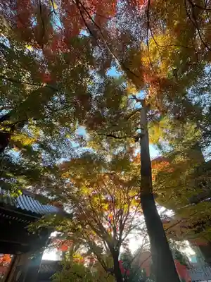 三寳寺(東京都)
