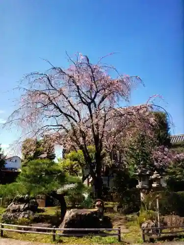 最勝寺(東京都)