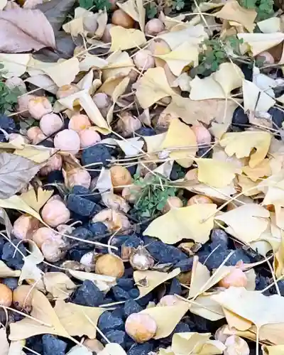 中の島神社の自然