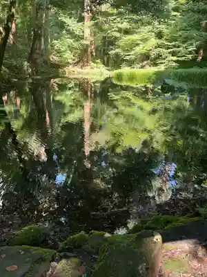平泉寺白山神社(福井県)