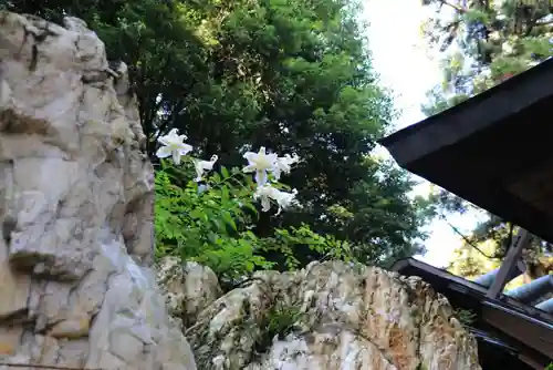 鹿島大神宮の自然