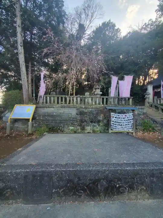 前玉神社(埼玉県)