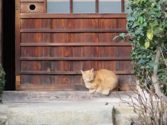 大幸寺(京都府)