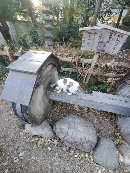 西光寺の動物