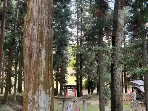 大宮温泉神社(栃木県)