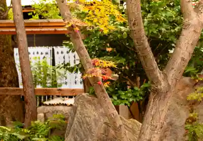 洲嵜神社(愛知県)